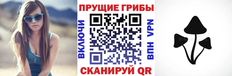 ссылка на мегу ONION  купить   Конаково  Галлюциногенные грибы ЛСД 